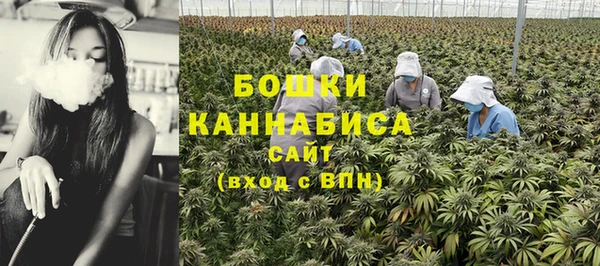 стафф Балабаново
