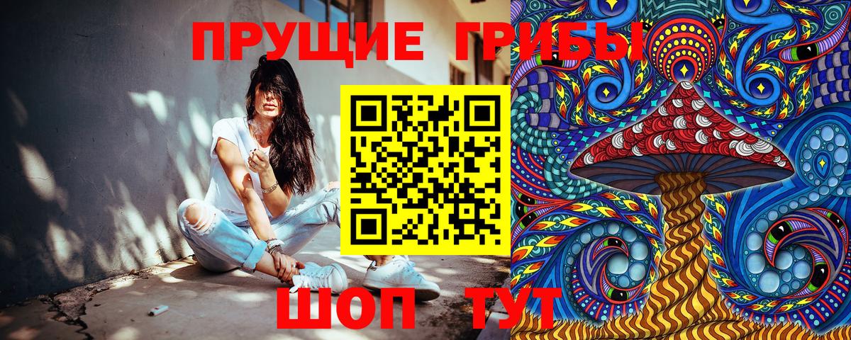 Нерюнгри  Галлюциногенные грибы мухоморы  Галлюциногенные грибы GOLDEN TEACHER  наркота  Вход с VPN 