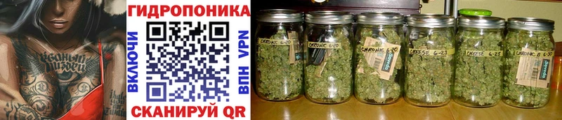 Канабис OG Kush  закладка  Нерюнгри 